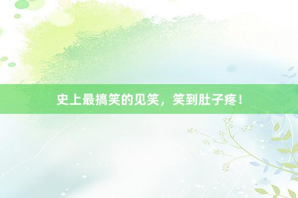 史上最搞笑的见笑,笑到肚子疼!